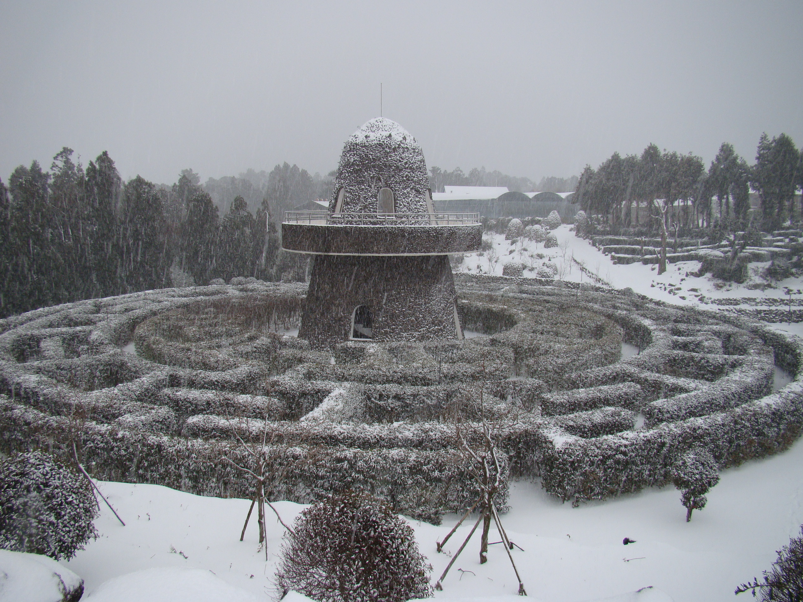 서귀포농업기술센터 겨울사진입니다. 서귀포에도 이렇게 눈이 내리네요!!!